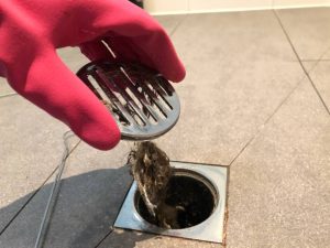Distinct-Plumbing blocked drains Adelaide