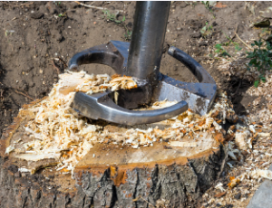 tree stump removal South Australia